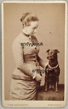 Cdv lady pinscher for sale  CHESTERFIELD