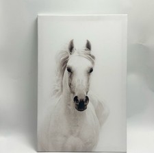 White horse canvas for sale  Portland