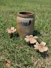 Antique small stoneware for sale  Salisbury