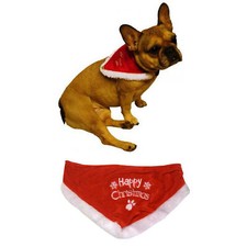 Hunde halsband weihnachten gebraucht kaufen  Leipzig