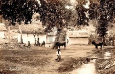 Cartão postal foto RPPC bois de cabanas de colmo cena vila rural Haiti 1900 comprar usado  Enviando para Brazil