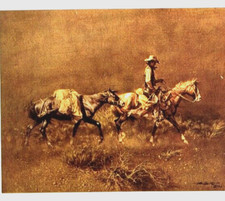 Frank mccarthy night for sale  Sahuarita