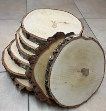 Baumscheibe birkenholz trocken gebraucht kaufen  Iserlohn