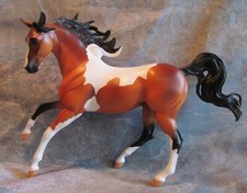 arab mare for sale  Winchester