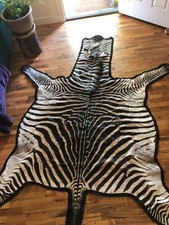 Authentic zebra skin for sale  Ashland