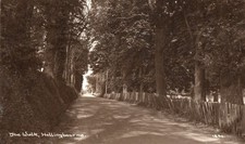 Postcard walk hollingbourne for sale  SUTTON COLDFIELD