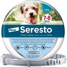 Protect petits chiens d'occasion  France