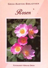 Rosen postkartenbuch groh gebraucht kaufen  Koblenz