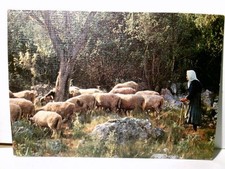 Nostalgie vintage schäferin gebraucht kaufen Nostalgie vintage schäferin gebraucht kaufen  Aarbergen