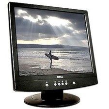 Dell e171fpb inch for sale  Cleveland