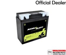 51913 batteria kombatt usato  Palermo