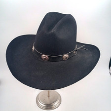 Bailey hollywood tombstone for sale  Burnet