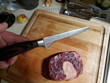 Paudin boning knife for sale  Silver City