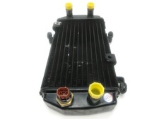 Radiateur eau hyosung d'occasion  France