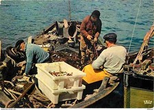 Trades fishing fisherman d'occasion  Expédié en Belgium