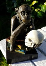 Rare singe philosophe d'occasion  Rouen-