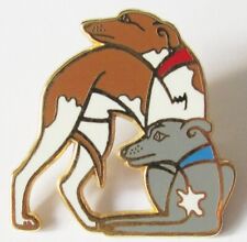 Pin chien whippet d'occasion  Maintenon