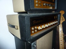 Amplificatore bassman echolett usato  Spedire a Italy