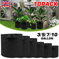 Pack large plant for sale  WALSALL
