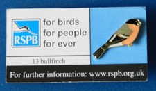 rspb bullfinch for sale  GRAVESEND