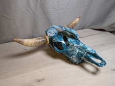 Steer skull inch for sale  Casper