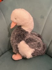 Grey white goose for sale  UK