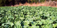 5lbs trophy forage for sale  Sikeston
