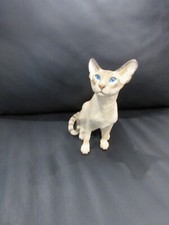 Country artists siamese for sale  Leander