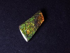 Ammolith carat ala gebraucht kaufen  Stahnsdorf