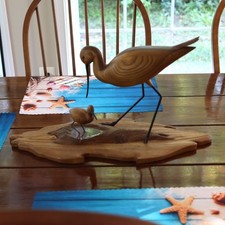 Jerome sciortino shorebird for sale  Centreville