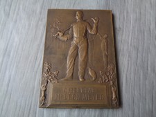Medaille plaque bronze d'occasion  Fécamp