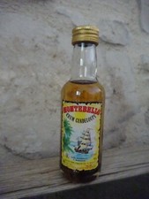 Mignonnette bouteille montebel d'occasion  Penne-d'Agenais