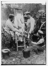 Field butcher firing for sale  USA