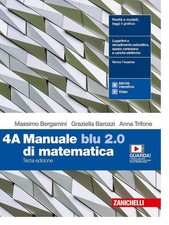 9788808438645 manuale blu usato  Fonte Nuova