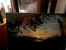 Glass covered picture for sale  Medford