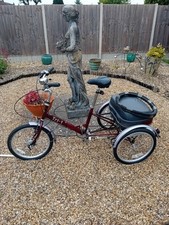Adult pashey tr1 for sale  NORTHAMPTON