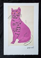 Andy warhol gatto usato  Italia