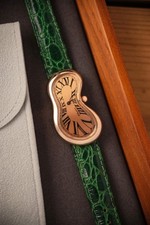 Exaequo softwatch salvador usato Exaequo softwatch salvador usato  Savignano sul Rubicone