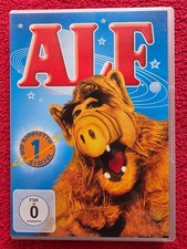Alf staffel dvd gebraucht kaufen  Cottbus