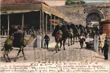 PC CONSTANTINOPLE, ISTAMBUL MURAILLES TERRESTRES PERU (a20345) comprar usado  Enviando para Brazil