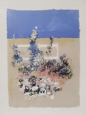 Giancarlo cazzaniga litografia usato  Palagiano