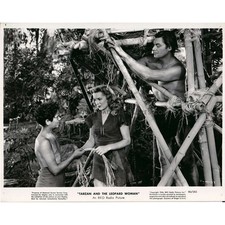 Tarzan and the d'occasion  Villeneuve-lès-Avignon