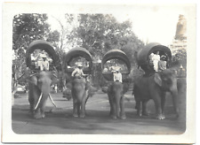 Family settlers elephant d'occasion  Expédié en Belgium