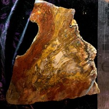 10.40 ounces petrified for sale  Orofino