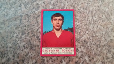 Toschi album calciatori usato  Firenze