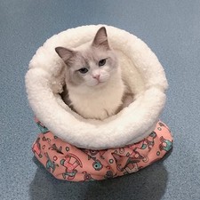 Cat sleeping bags for sale  CRAIGAVON