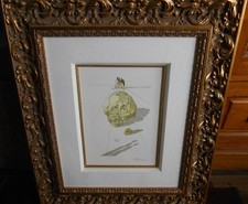 Salvador dali torment for sale  Lakeland