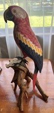 Tiki bar parrot for sale  Woolford