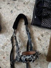Kappzaum naseneisen größe gebraucht kaufen  Enkenbach-Alsenborn