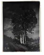Vintage lrg black for sale  Belleville